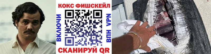 Купить закладки  Куртамыш  КОКАИН FishScale 