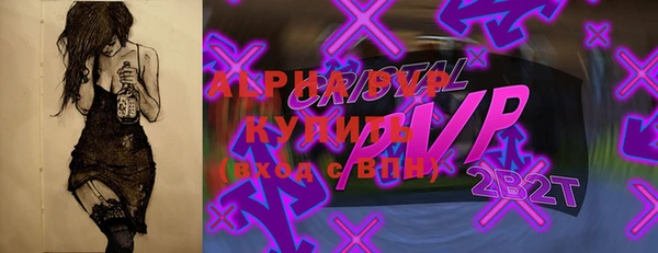 СК Вязьма