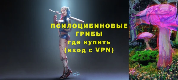 СК Вязьма
