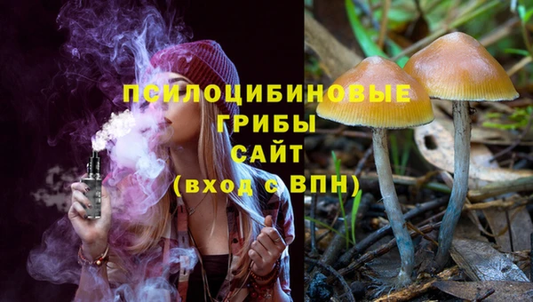 СК Вязьма