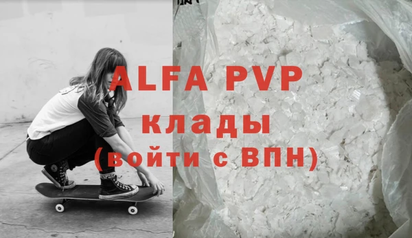 СК Вязьма