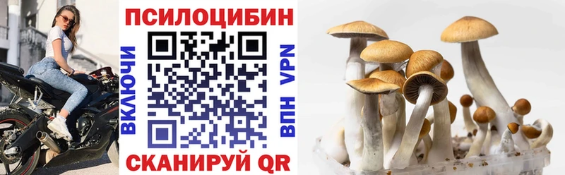 Галлюциногенные грибы Psilocybine cubensis  Купить где  Куртамыш 